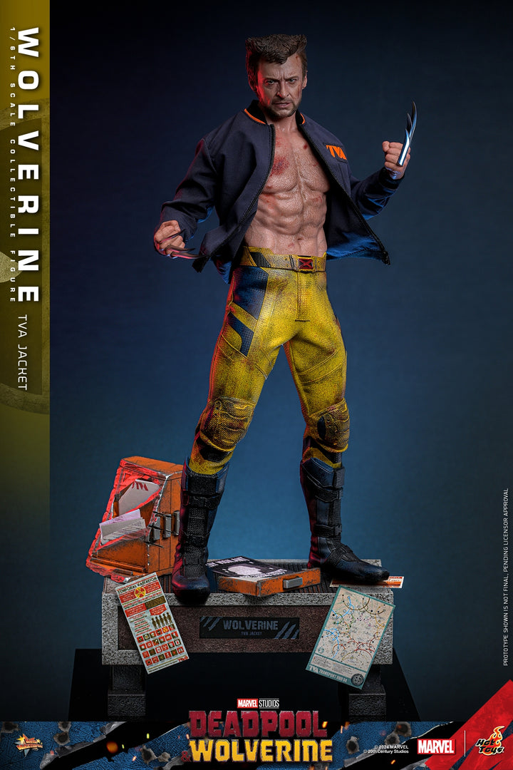 [Pre-Order] Hot Toys - MMS756 - Deadpool & Wolverine - 1/6th scale Wolverine (TVA Jacket Version) Collectible Figure