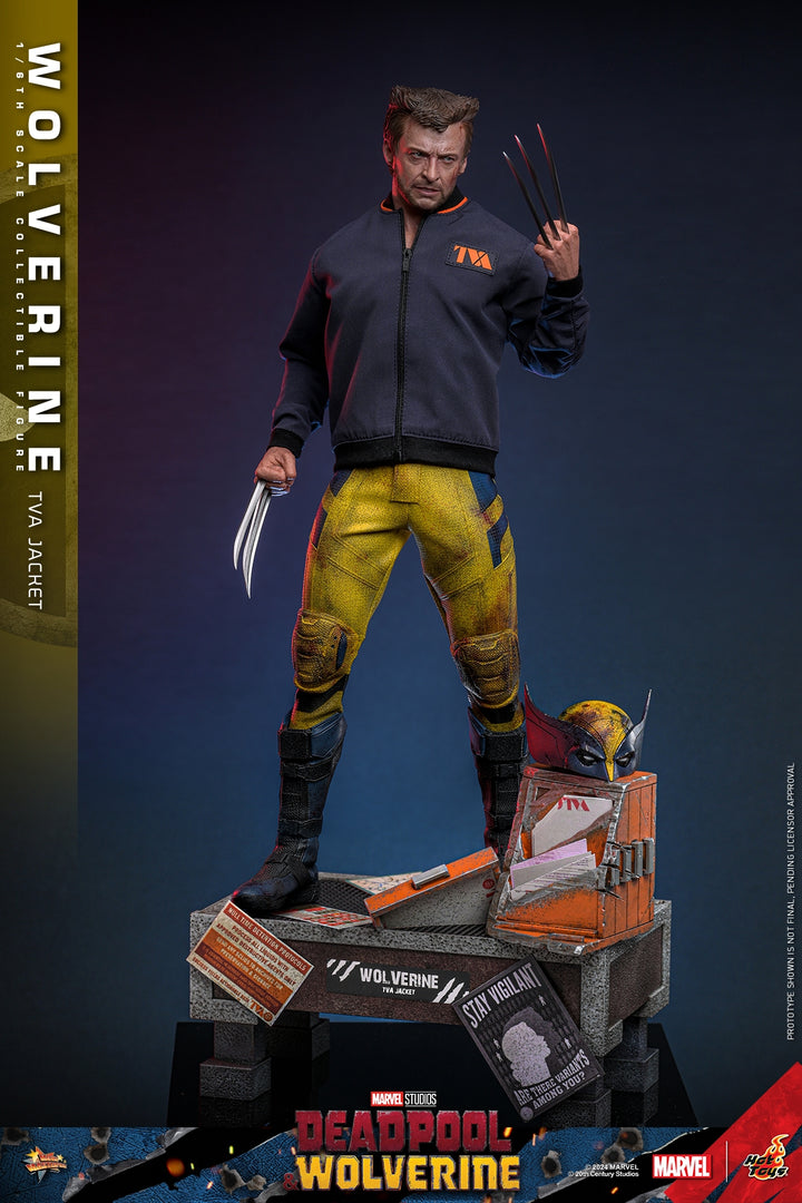 [Pre-Order] Hot Toys - MMS756 - Deadpool & Wolverine - 1/6th scale Wolverine (TVA Jacket Version) Collectible Figure