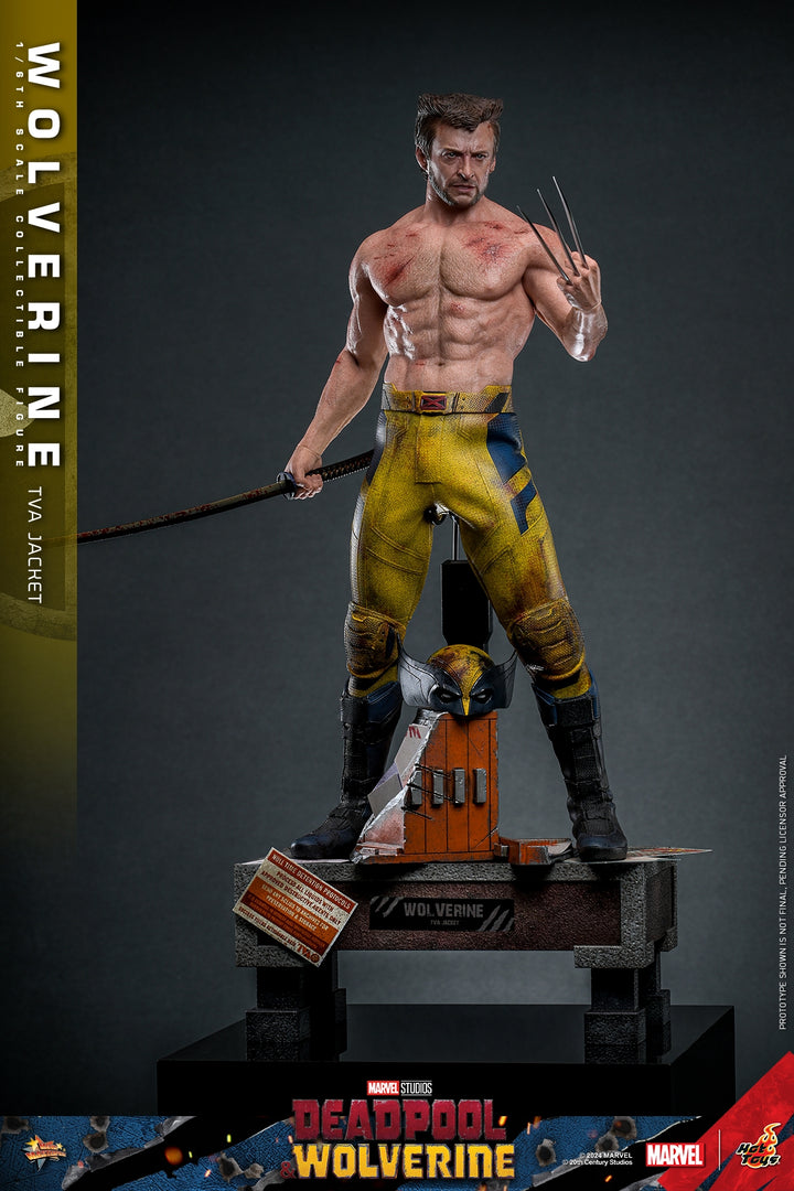 [Pre-Order] Hot Toys - MMS756 - Deadpool & Wolverine - 1/6th scale Wolverine (TVA Jacket Version) Collectible Figure