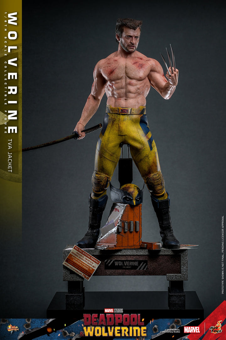 [Pre-Order] Hot Toys - MMS756 - Deadpool & Wolverine - 1/6th scale Wolverine (TVA Jacket Version) Collectible Figure