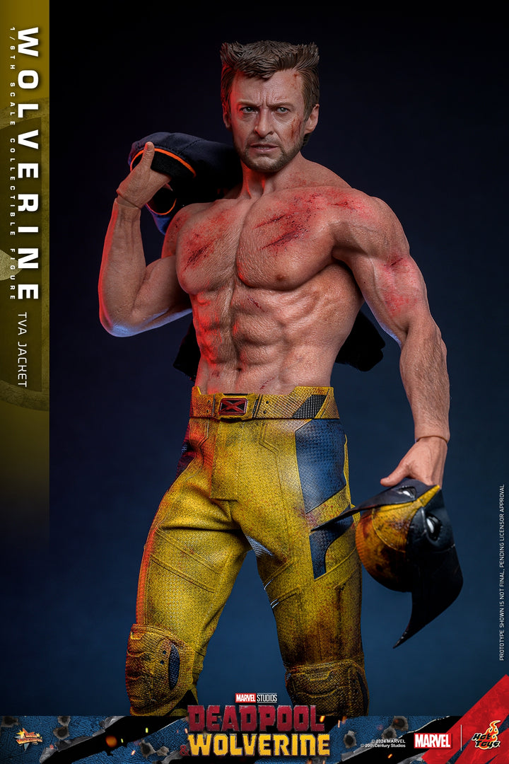 [Pre-Order] Hot Toys - MMS756 - Deadpool & Wolverine - 1/6th scale Wolverine (TVA Jacket Version) Collectible Figure