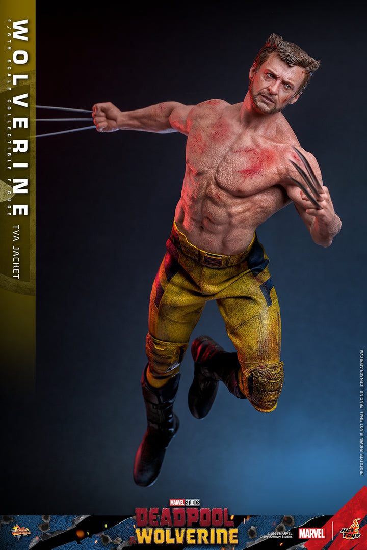 [Pre-Order] Hot Toys - MMS756 - Deadpool & Wolverine - 1/6th scale Wolverine (TVA Jacket Version) Collectible Figure