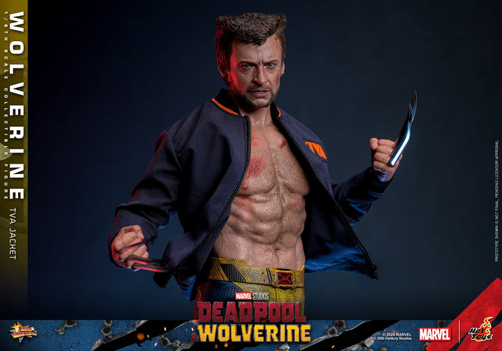 [Pre-Order] Hot Toys - MMS756 - Deadpool & Wolverine - 1/6th scale Wolverine (TVA Jacket Version) Collectible Figure