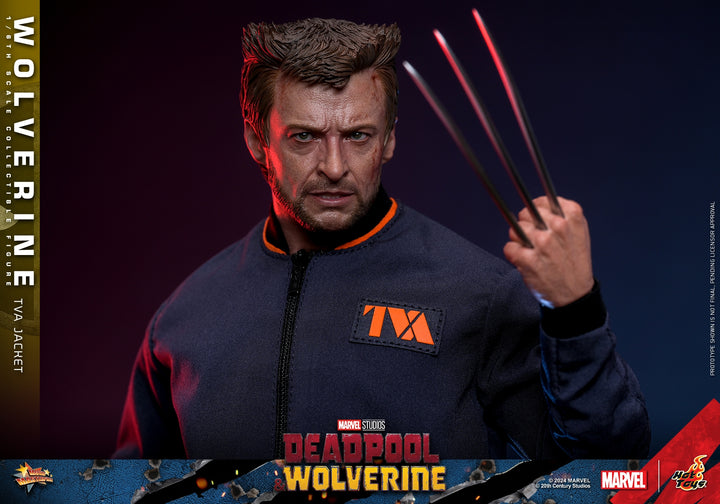 [Pre-Order] Hot Toys - MMS756 - Deadpool & Wolverine - 1/6th scale Wolverine (TVA Jacket Version) Collectible Figure