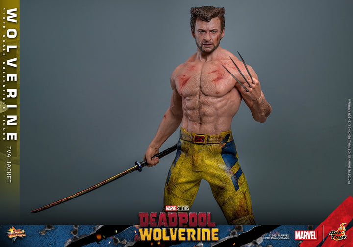 [Pre-Order] Hot Toys - MMS756 - Deadpool & Wolverine - 1/6th scale Wolverine (TVA Jacket Version) Collectible Figure