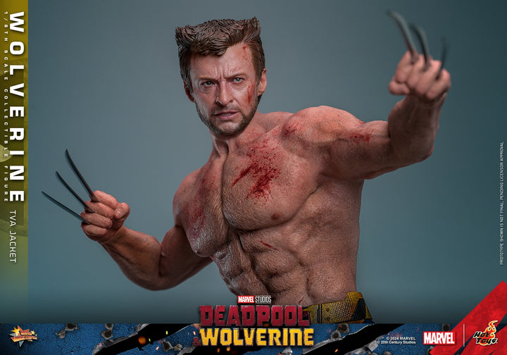 [Pre-Order] Hot Toys - MMS756 - Deadpool & Wolverine - 1/6th scale Wolverine (TVA Jacket Version) Collectible Figure