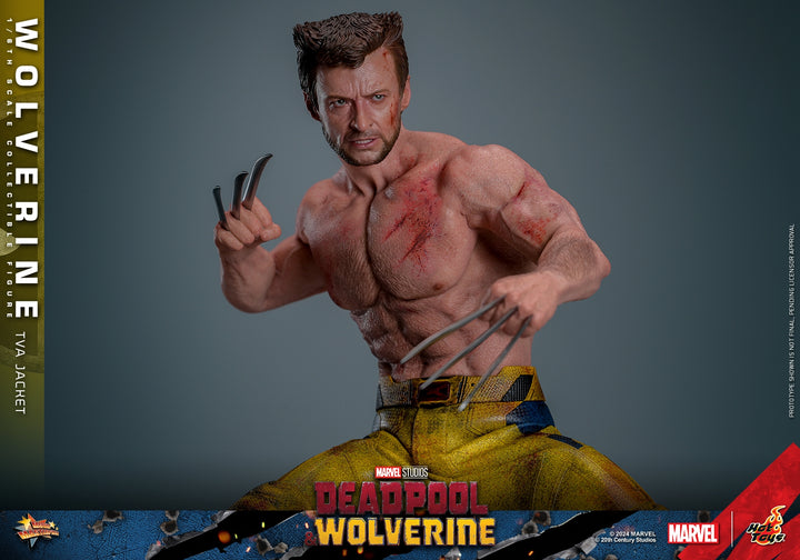 [Pre-Order] Hot Toys - MMS756 - Deadpool & Wolverine - 1/6th scale Wolverine (TVA Jacket Version) Collectible Figure