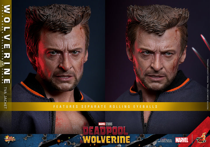 [Pre-Order] Hot Toys - MMS756 - Deadpool & Wolverine - 1/6th scale Wolverine (TVA Jacket Version) Collectible Figure