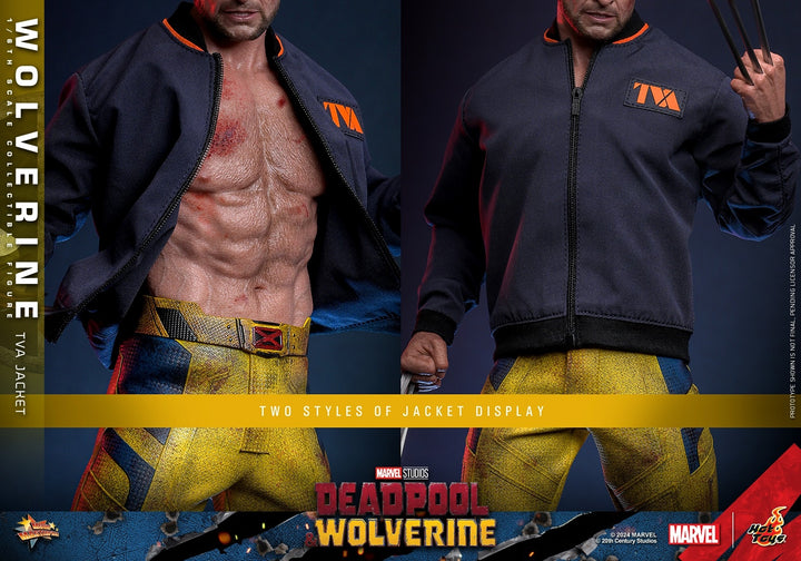 [Pre-Order] Hot Toys - MMS756 - Deadpool & Wolverine - 1/6th scale Wolverine (TVA Jacket Version) Collectible Figure