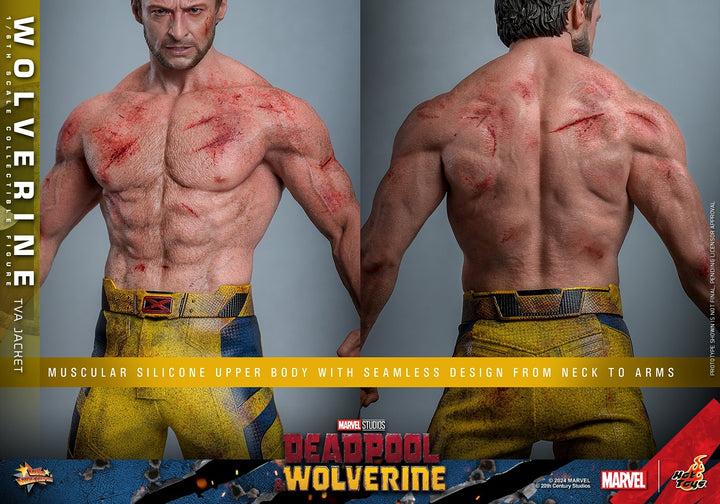 [Pre-Order] Hot Toys - MMS756 - Deadpool & Wolverine - 1/6th scale Wolverine (TVA Jacket Version) Collectible Figure