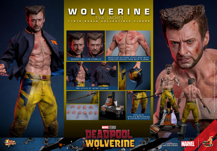 [Pre-Order] Hot Toys - MMS756 - Deadpool & Wolverine - 1/6th scale Wolverine (TVA Jacket Version) Collectible Figure