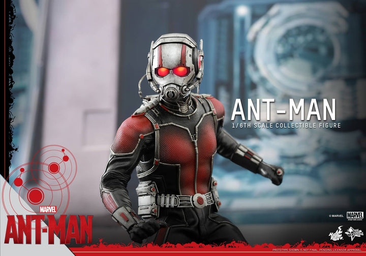 Hot Toys - Ant-Man