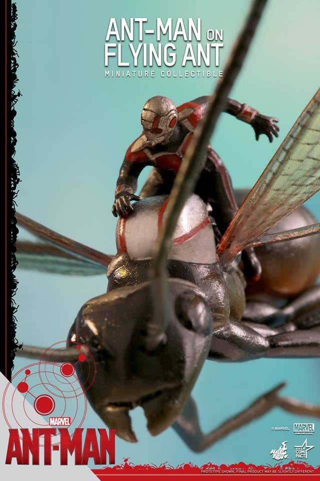 Hot Toys - ANT-MAN ON FLYING ANT