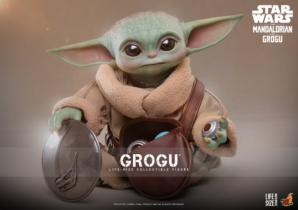 Grog Bilo New Arrival Items – Primo Collectibles