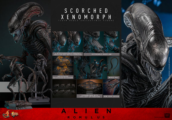 [Pre-Order] Hot Toys - MMS784 - Alien: Romulus - 1/6th scale Scorched Xenomorph Collectible Figure