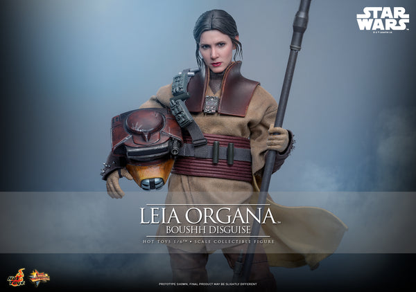 [Pre-Order] Hot Toys - MMS854 - Star Wars: Return of the Jedi - 1/6th scale Leia Organa (Boushh Disguise) Collectible Figure