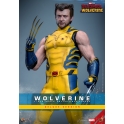 [Pre-Order] Hot Toys - MMS754 -Deadpool & Wolverine - 1/6th scale Wolverine Collectible Figure (Deluxe Version)